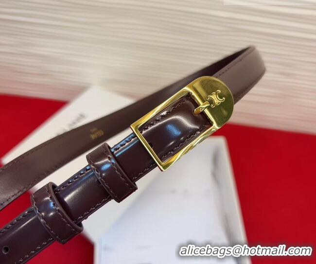 Most Popular Celine Shiny Calfskin Leather Belt 1.8cm with Pin Buckle CE031603 Dark Brown/Gold 2026