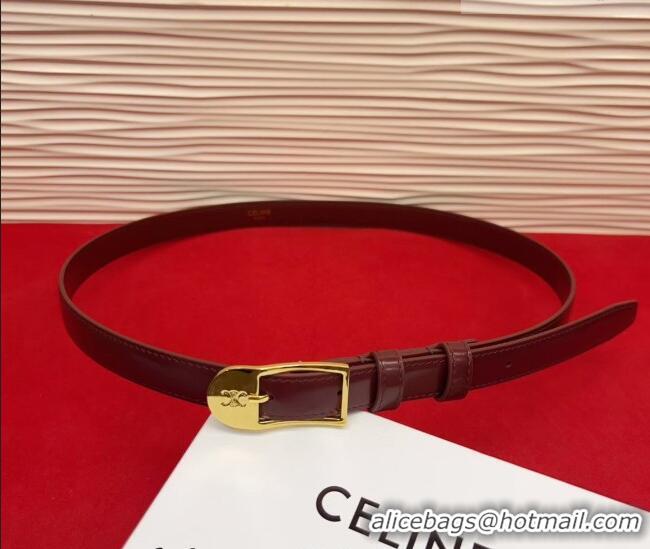 Most Popular Celine Shiny Calfskin Leather Belt 1.8cm with Pin Buckle CE031603 Dark Brown/Gold 2026