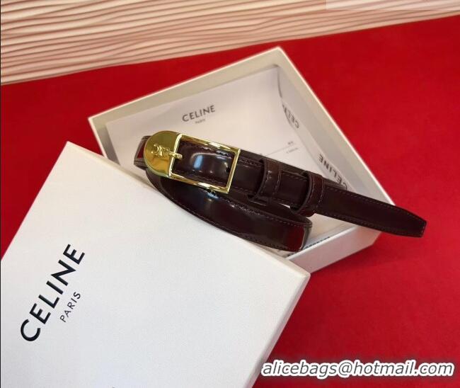 Most Popular Celine Shiny Calfskin Leather Belt 1.8cm with Pin Buckle CE031603 Dark Brown/Gold 2026