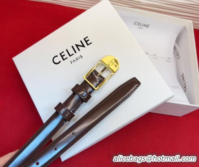 Most Popular Celine Shiny Calfskin Leather Belt 1.8cm with Pin Buckle CE031603 Dark Brown/Gold 2026