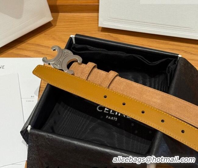 Best Product Celine Triomphe Medium Belt 2.5cm in Suede CE031603 Beige/Silver 2026
