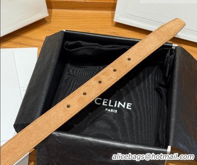 Best Product Celine Triomphe Medium Belt 2.5cm in Suede CE031603 Beige/Silver 2026