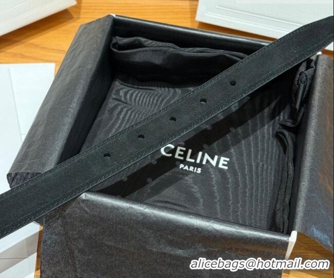 Buy Fashionable Celine Triomphe Medium Belt 2.5cm in Suede CE031603 Black/Silver 2026