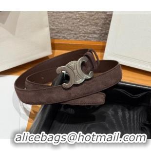 Luxury Cheap Celine Triomphe Medium Belt 2.5cm in Suede CE031603 Dark Brown/Silver 2026