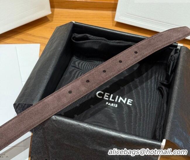 Luxury Cheap Celine Triomphe Medium Belt 2.5cm in Suede CE031603 Dark Brown/Silver 2026