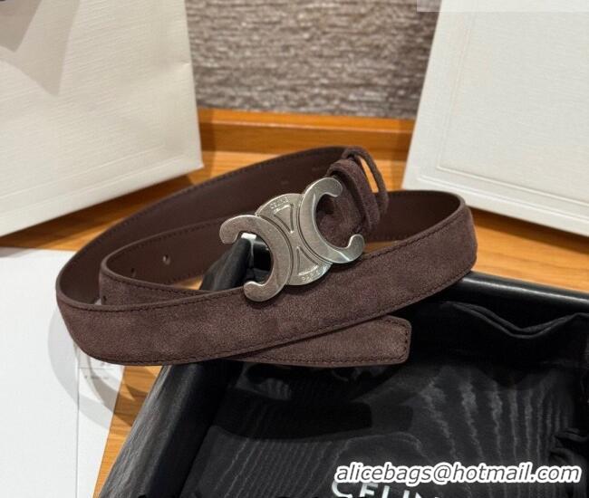 Luxury Cheap Celine Triomphe Medium Belt 2.5cm in Suede CE031603 Dark Brown/Silver 2026