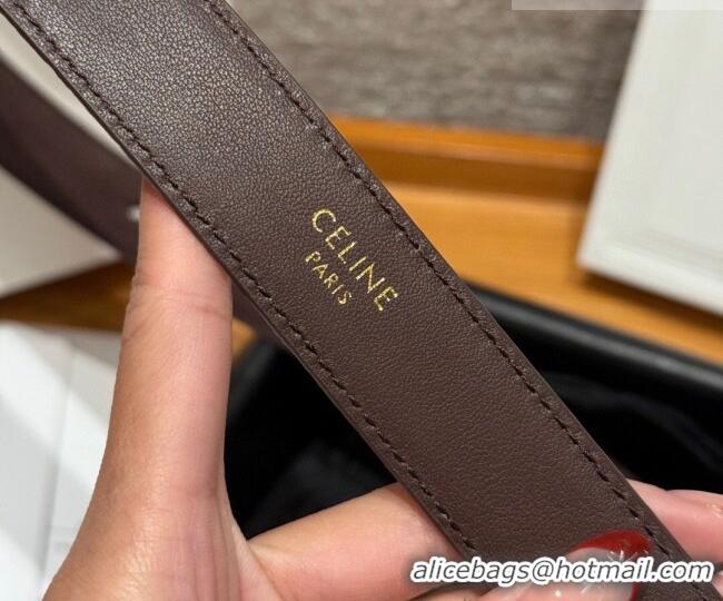 Luxury Cheap Celine Triomphe Medium Belt 2.5cm in Suede CE031603 Dark Brown/Silver 2026