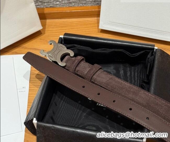 Luxury Cheap Celine Triomphe Medium Belt 2.5cm in Suede CE031603 Dark Brown/Silver 2026