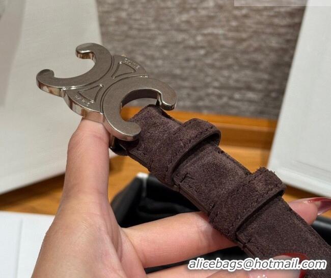 Luxury Cheap Celine Triomphe Medium Belt 2.5cm in Suede CE031603 Dark Brown/Silver 2026