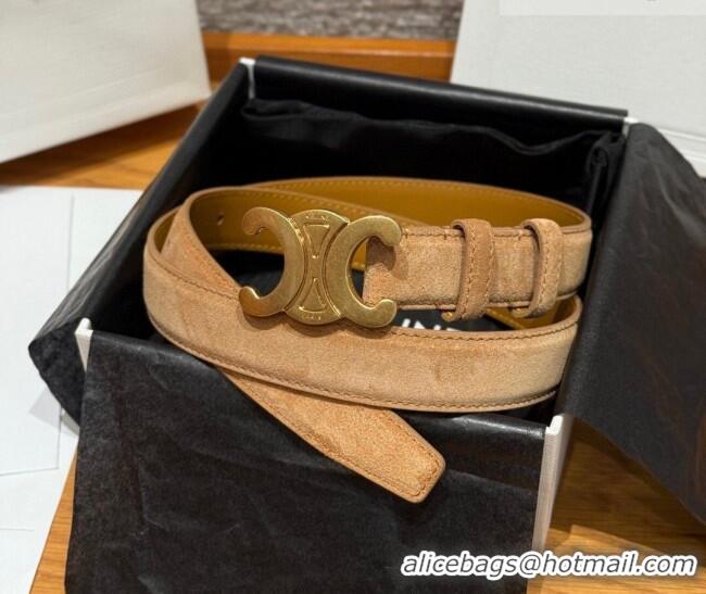 Trendy Design Celine Triomphe Medium Belt 2.5cm in Suede CE031603 Beige/Gold 2026