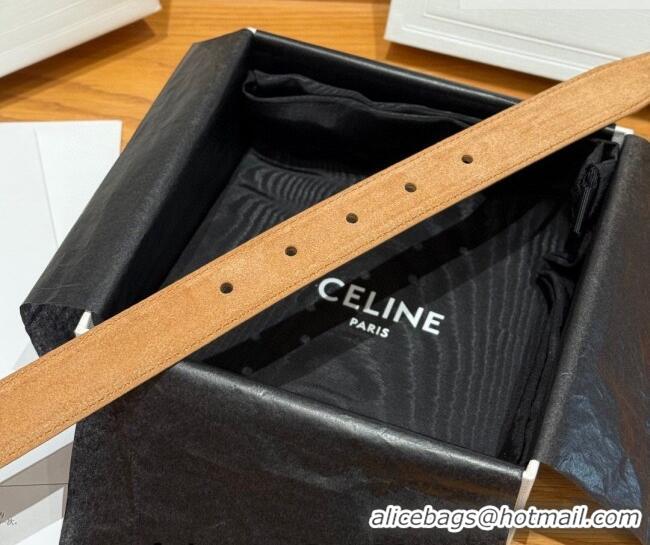 Trendy Design Celine Triomphe Medium Belt 2.5cm in Suede CE031603 Beige/Gold 2026