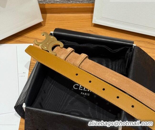Trendy Design Celine Triomphe Medium Belt 2.5cm in Suede CE031603 Beige/Gold 2026