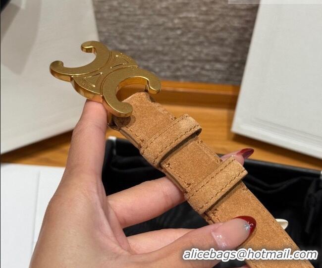 Trendy Design Celine Triomphe Medium Belt 2.5cm in Suede CE031603 Beige/Gold 2026