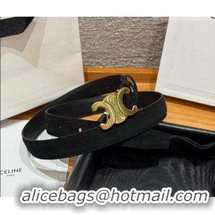Luxury Cheap Celine Triomphe Medium Belt 2.5cm in Suede CE031603 Black/Gold 2026