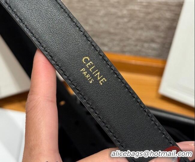 Luxury Cheap Celine Triomphe Medium Belt 2.5cm in Suede CE031603 Black/Gold 2026