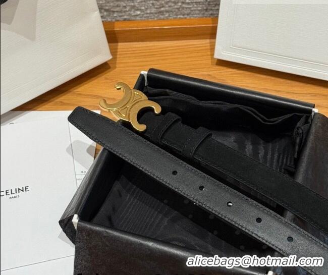 Luxury Cheap Celine Triomphe Medium Belt 2.5cm in Suede CE031603 Black/Gold 2026