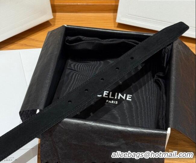 Luxury Cheap Celine Triomphe Medium Belt 2.5cm in Suede CE031603 Black/Gold 2026
