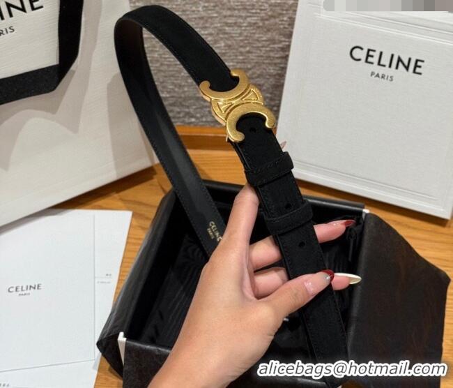 Luxury Cheap Celine Triomphe Medium Belt 2.5cm in Suede CE031603 Black/Gold 2026