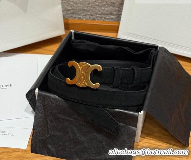 Luxury Cheap Celine Triomphe Medium Belt 2.5cm in Suede CE031603 Black/Gold 2026