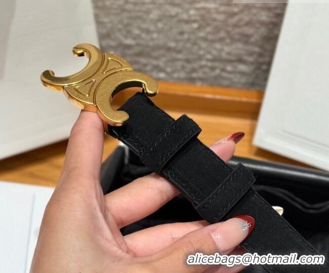 Luxury Cheap Celine Triomphe Medium Belt 2.5cm in Suede CE031603 Black/Gold 2026