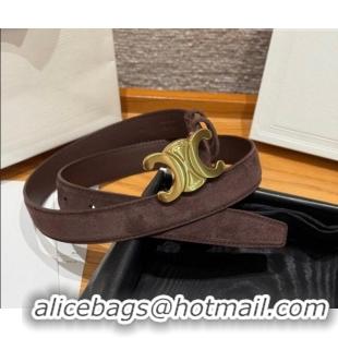 Luxury Cheap Celine Triomphe Medium Belt 2.5cm Suede CE031603 Dark/Brown/Gold 2026