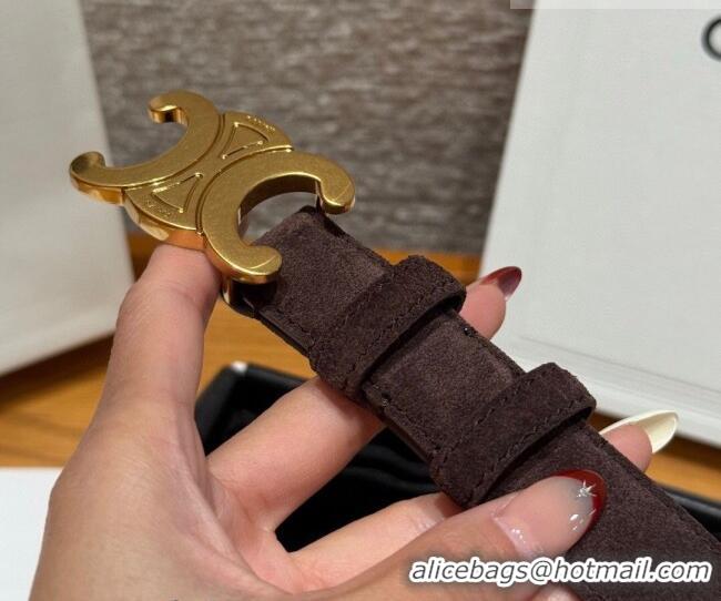 Luxury Cheap Celine Triomphe Medium Belt 2.5cm Suede CE031603 Dark/Brown/Gold 2026