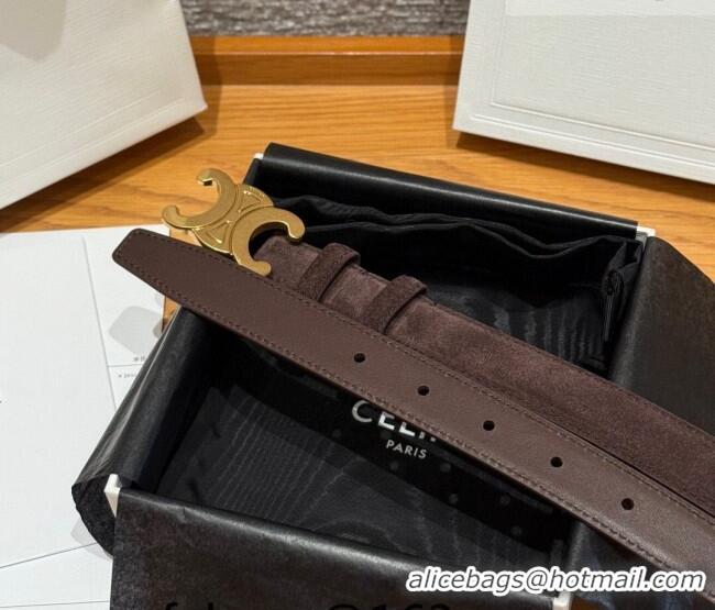 Luxury Cheap Celine Triomphe Medium Belt 2.5cm Suede CE031603 Dark/Brown/Gold 2026