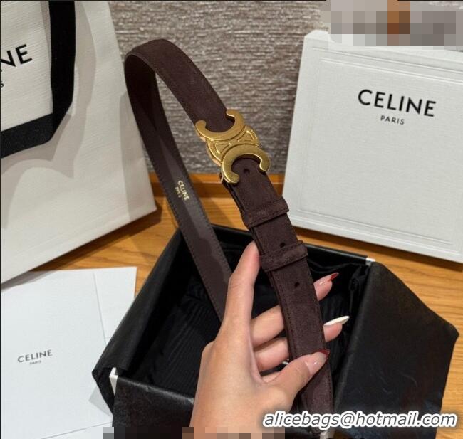 Luxury Cheap Celine Triomphe Medium Belt 2.5cm Suede CE031603 Dark/Brown/Gold 2026