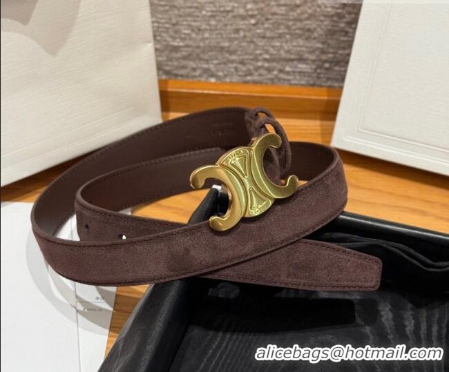 Luxury Cheap Celine Triomphe Medium Belt 2.5cm Suede CE031603 Dark/Brown/Gold 2026