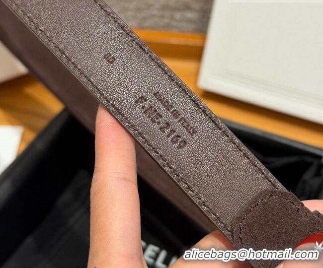 Luxury Cheap Celine Triomphe Medium Belt 2.5cm Suede CE031603 Dark/Brown/Gold 2026