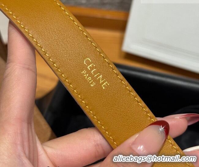 Best Product Celine Triomphe Medium Belt 2.5cm with Pin Buckle in Suede CE031604 Beige/Gold 2026