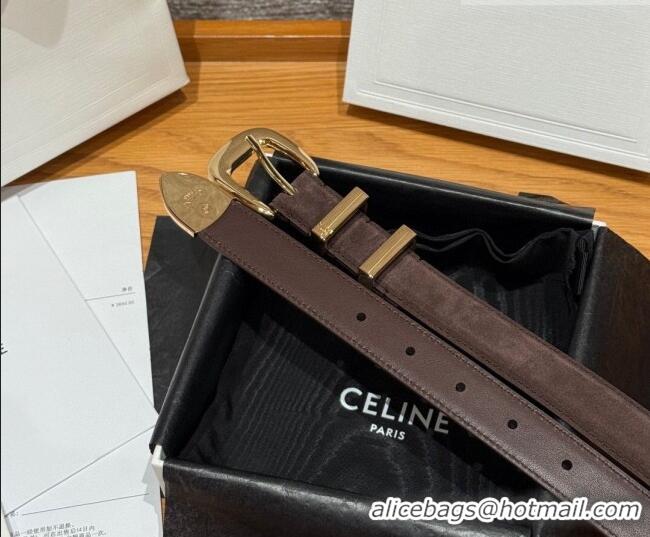 Best Quality Celine Triomphe Medium Belt 2.5cm with Pin Buckle in Suede CE031604 Dark Brown/Gold 2026