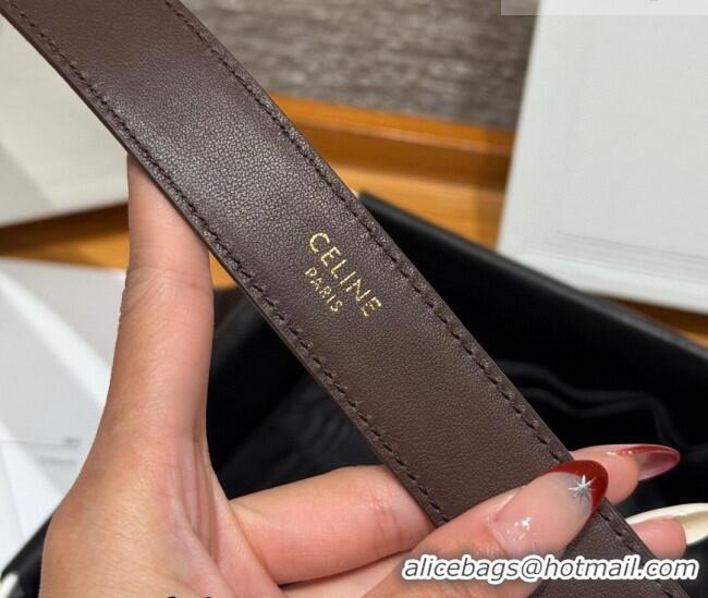 Best Quality Celine Triomphe Medium Belt 2.5cm with Pin Buckle in Suede CE031604 Dark Brown/Gold 2026