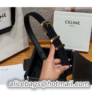 Grade Quality Celine Triomphe Medium Belt 2.5cm with Pin Buckle in Suede CE031604 Black/Gold 2026