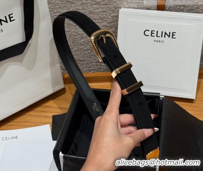 Grade Quality Celine Triomphe Medium Belt 2.5cm with Pin Buckle in Suede CE031604 Black/Gold 2026
