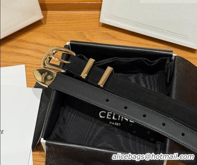 Grade Quality Celine Triomphe Medium Belt 2.5cm with Pin Buckle in Suede CE031604 Black/Gold 2026
