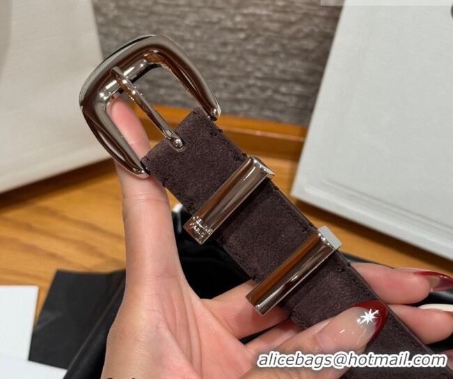 Most Popular Celine Triomphe Medium Belt 2.5cm with Pin Buckle in Suede CE031604 Dark Brown/Silver 2026