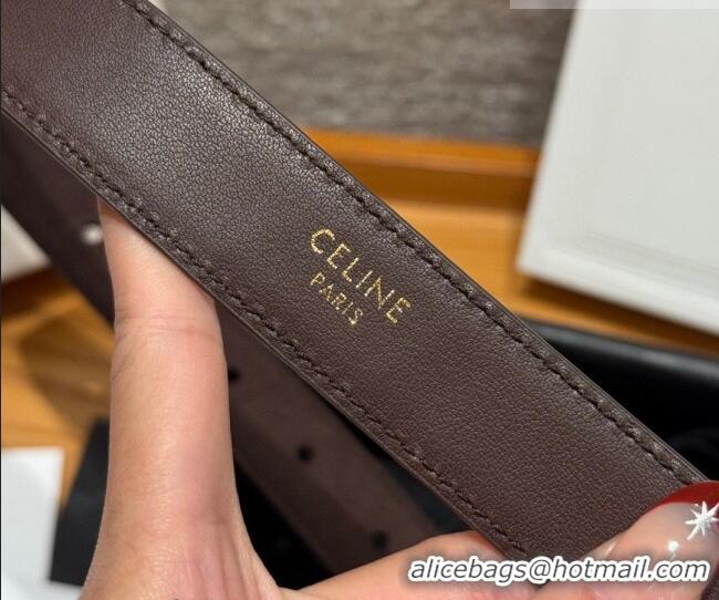 Most Popular Celine Triomphe Medium Belt 2.5cm with Pin Buckle in Suede CE031604 Dark Brown/Silver 2026