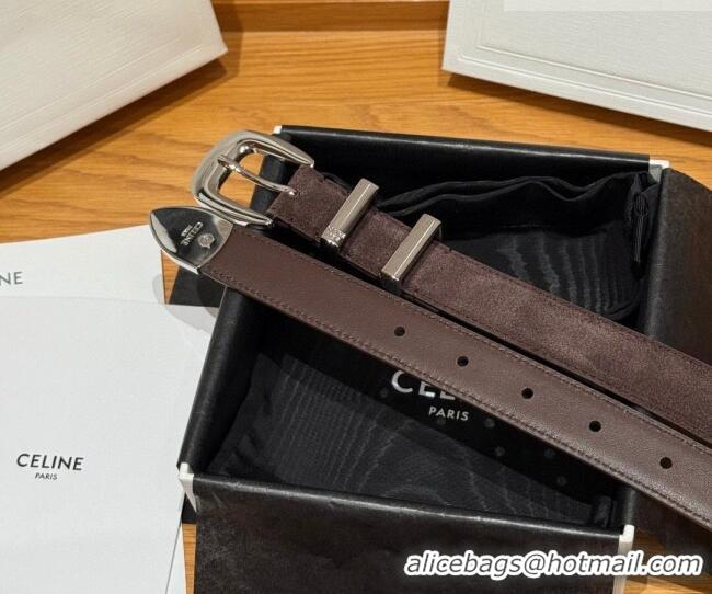 Most Popular Celine Triomphe Medium Belt 2.5cm with Pin Buckle in Suede CE031604 Dark Brown/Silver 2026