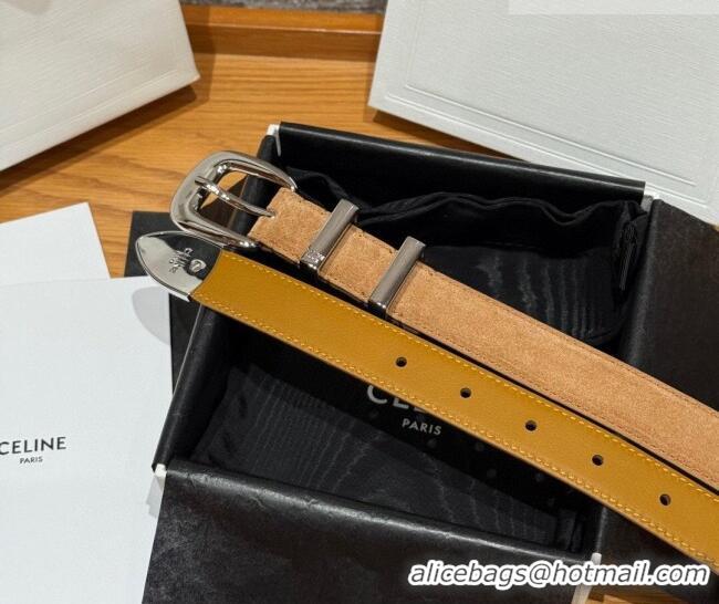 Discount Price Celine Triomphe Medium Belt 2.5cm with Pin Buckle in Suede CE031604 Beige/Silver 2026