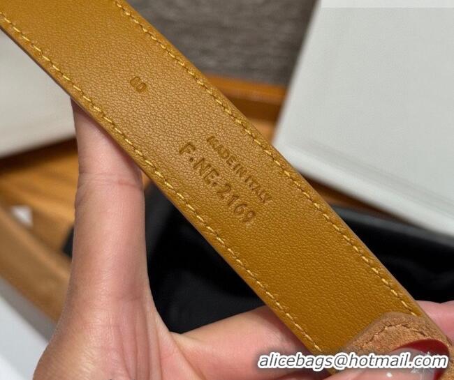 Discount Price Celine Triomphe Medium Belt 2.5cm with Pin Buckle in Suede CE031604 Beige/Silver 2026