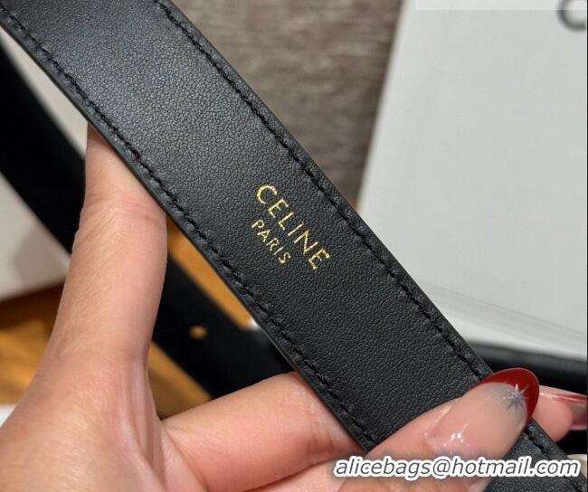 Best Price Celine Triomphe Medium Belt 2.5cm with Pin Buckle in Suede CE031604 Black/Silver 2026