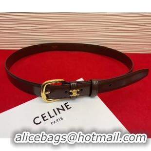 Top Grade Celine Elegant Charm Triomphe Belt 2.5cm with Gold-Tone Pin Buckle in Shiny Leather 16052 Chocolate 2026