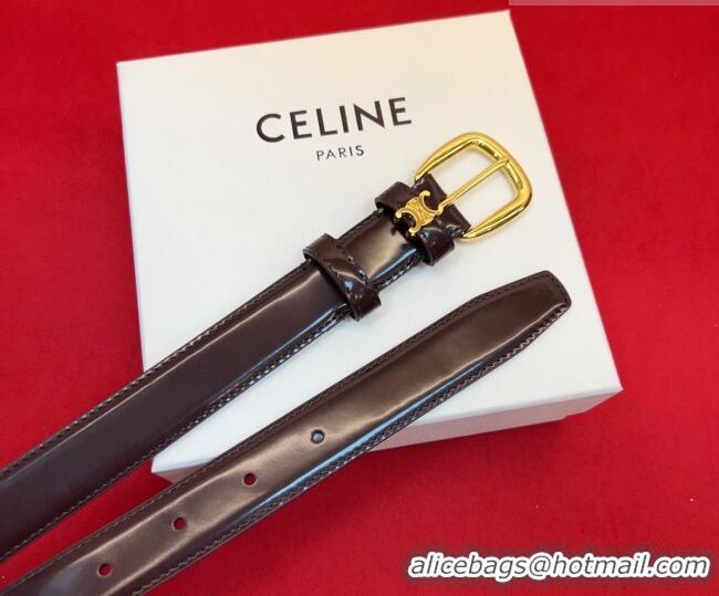 Best Product Celine Elegant Charm Triomphe Belt 2.5cm with Gold-Tone Pin Buckle in Shiny Leather 16052 Dark Brown 2026