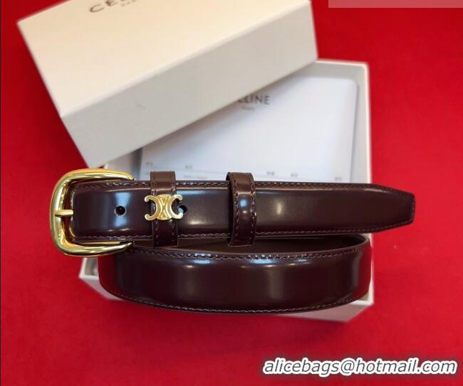 Best Product Celine Elegant Charm Triomphe Belt 2.5cm with Gold-Tone Pin Buckle in Shiny Leather 16052 Dark Brown 2026