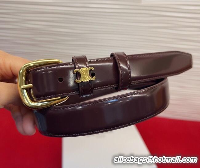 Best Product Celine Elegant Charm Triomphe Belt 2.5cm with Gold-Tone Pin Buckle in Shiny Leather 16052 Dark Brown 2026