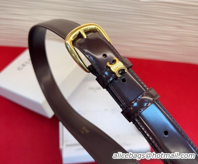 Best Product Celine Elegant Charm Triomphe Belt 2.5cm with Gold-Tone Pin Buckle in Shiny Leather 16052 Dark Brown 2026