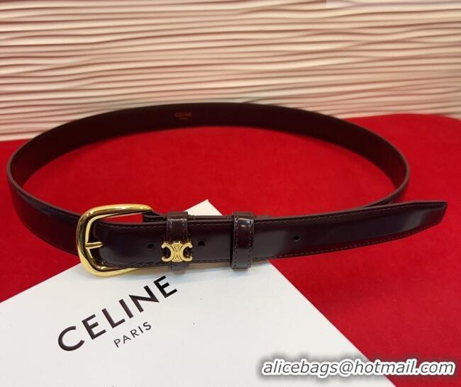 Best Product Celine Elegant Charm Triomphe Belt 2.5cm with Gold-Tone Pin Buckle in Shiny Leather 16052 Dark Brown 2026