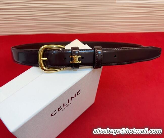 Best Product Celine Elegant Charm Triomphe Belt 2.5cm with Gold-Tone Pin Buckle in Shiny Leather 16052 Dark Brown 2026