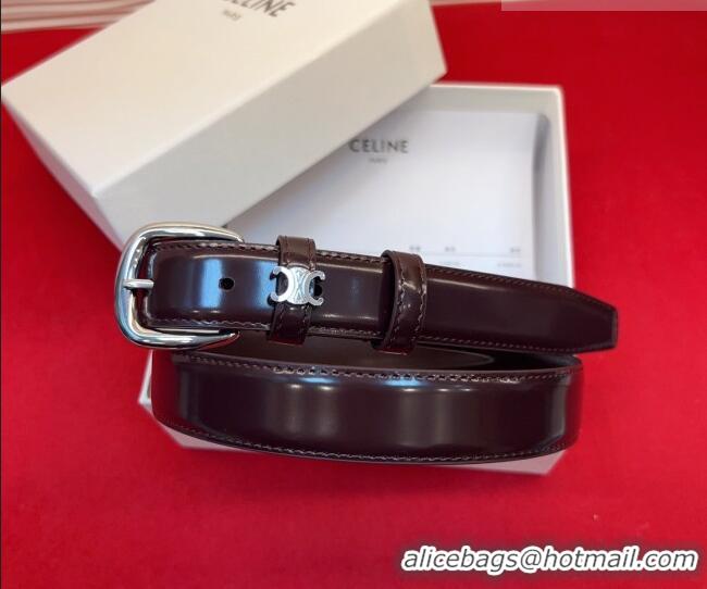 Cheap Price Celine Elegant Charm Triomphe Belt 2.5cm with Silver-Tone Pin Buckle in Shiny Leather 16052 Dark Brown 2026